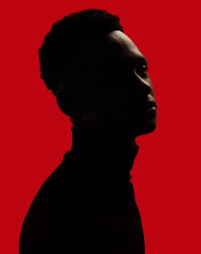 Portrait of a silhouette on a red background